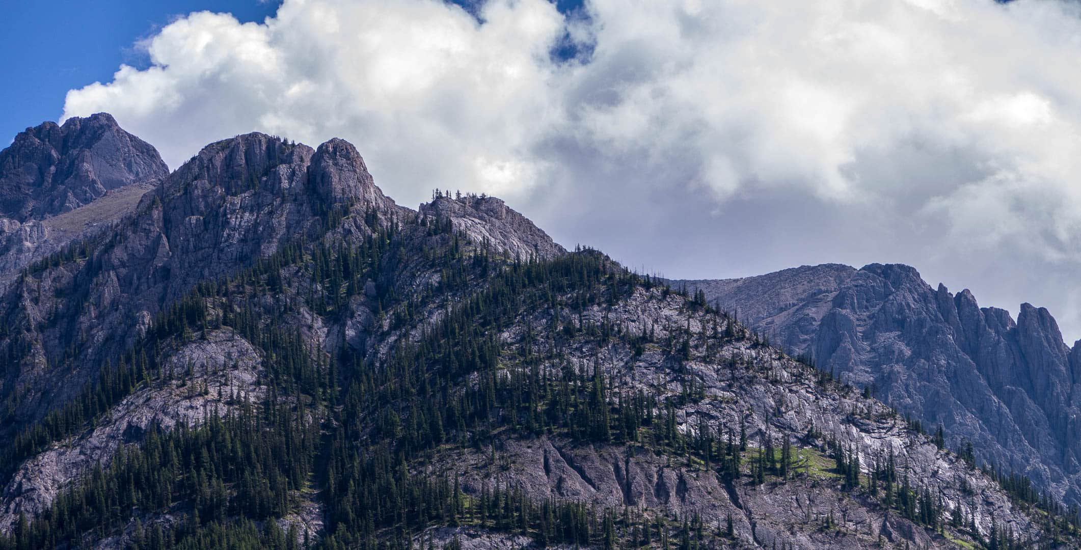 Rocky mountian bluffs