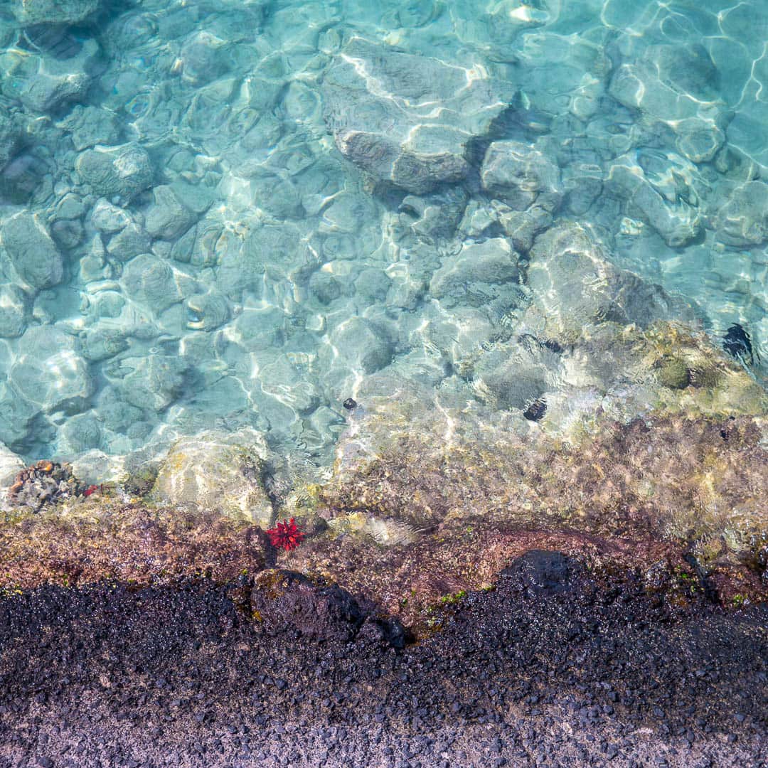 Crystal clear water