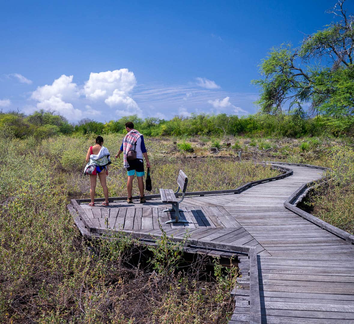 Friends along a lush boardwalk