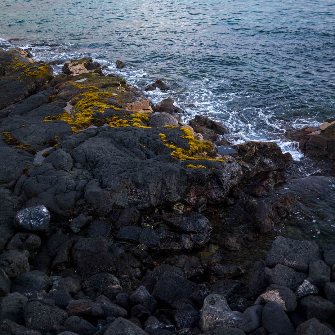 Dark rocky and mossy shore