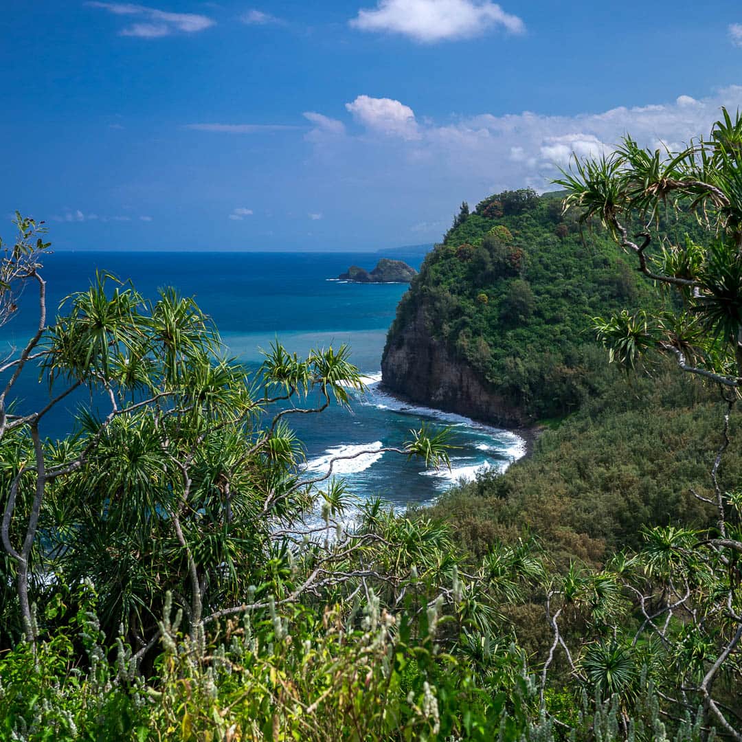 Beautiful Hawaiian shore