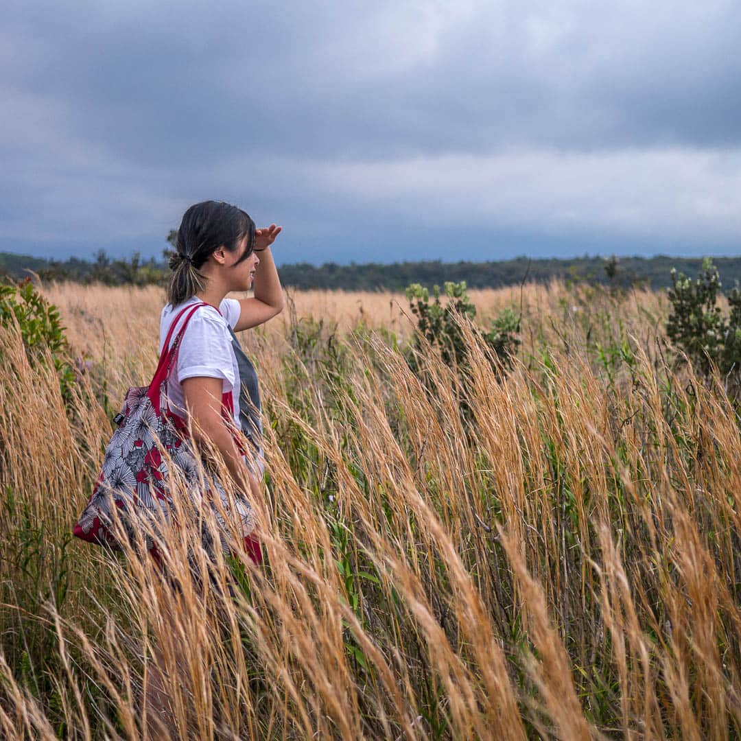 A friend looking out over a field of tall grass