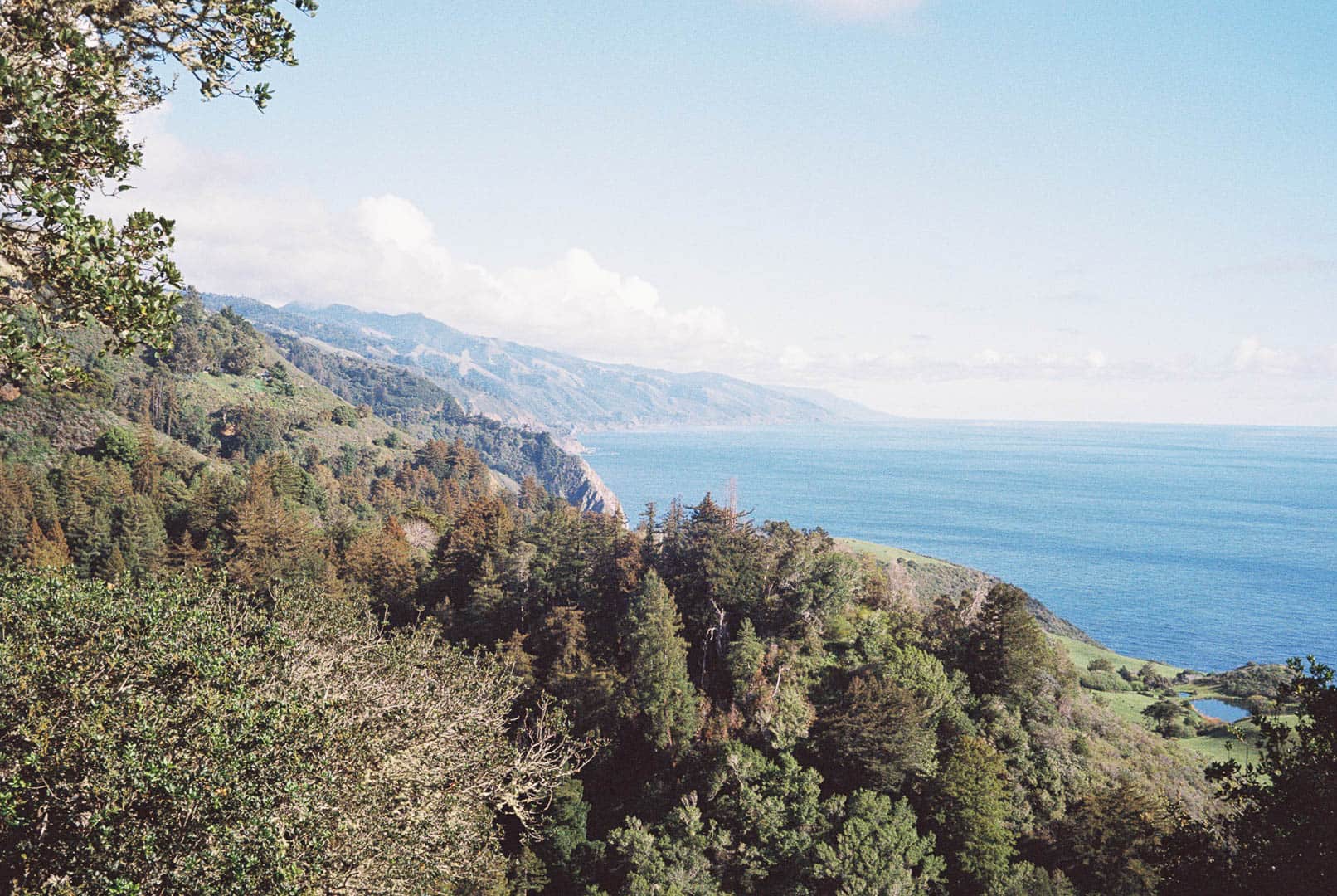 A rocky tree-lined shore