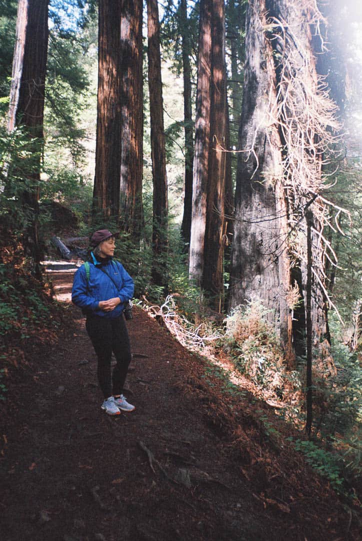 A woman stopping to take in the view on a hiking path