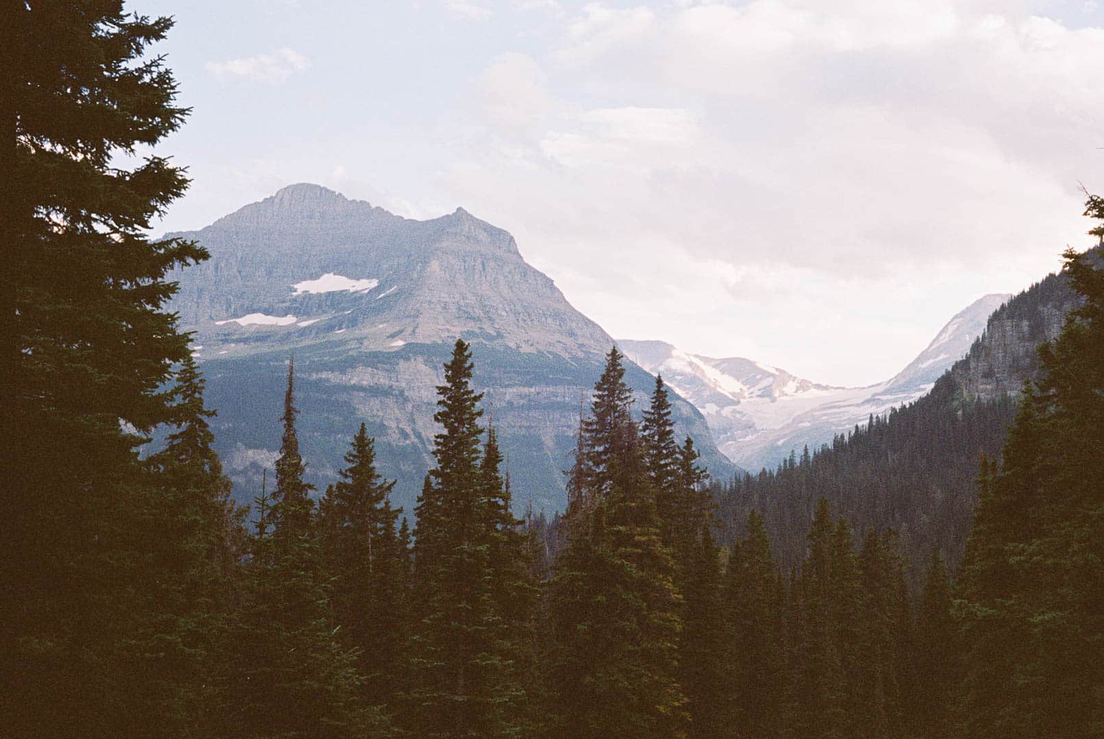 A rocky mountian peak sticking above treelined mountians