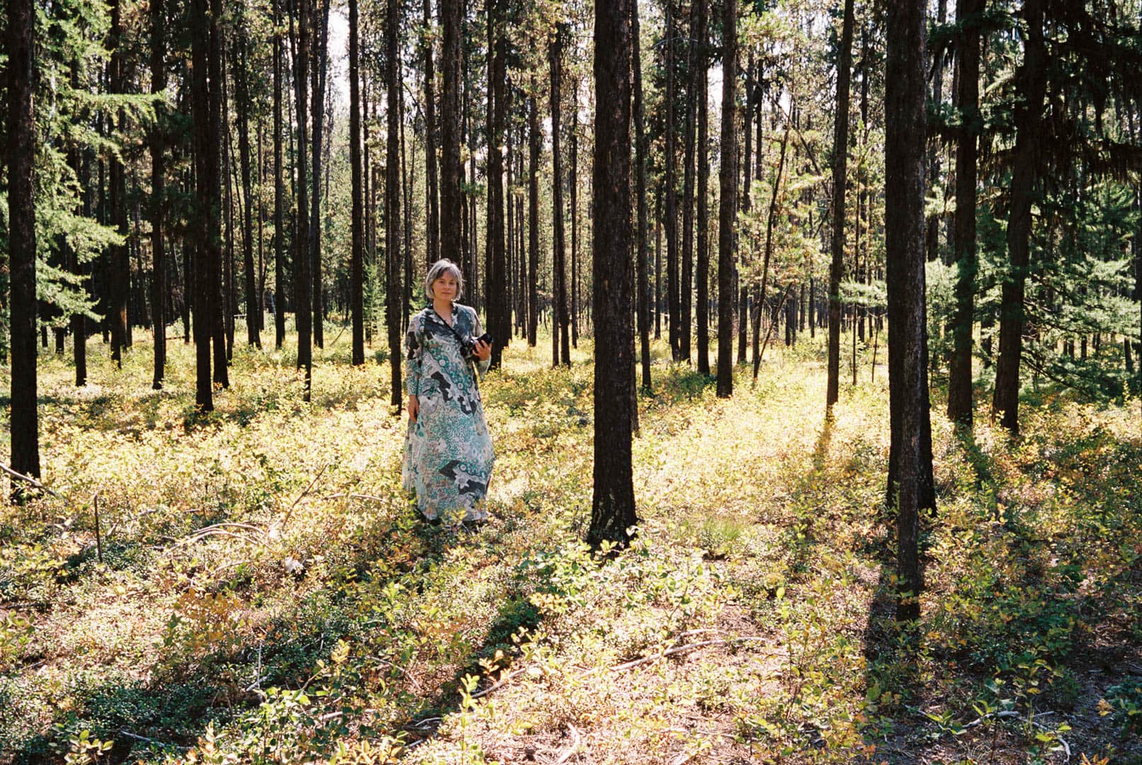 A woman in a kaftan amongst pine trees