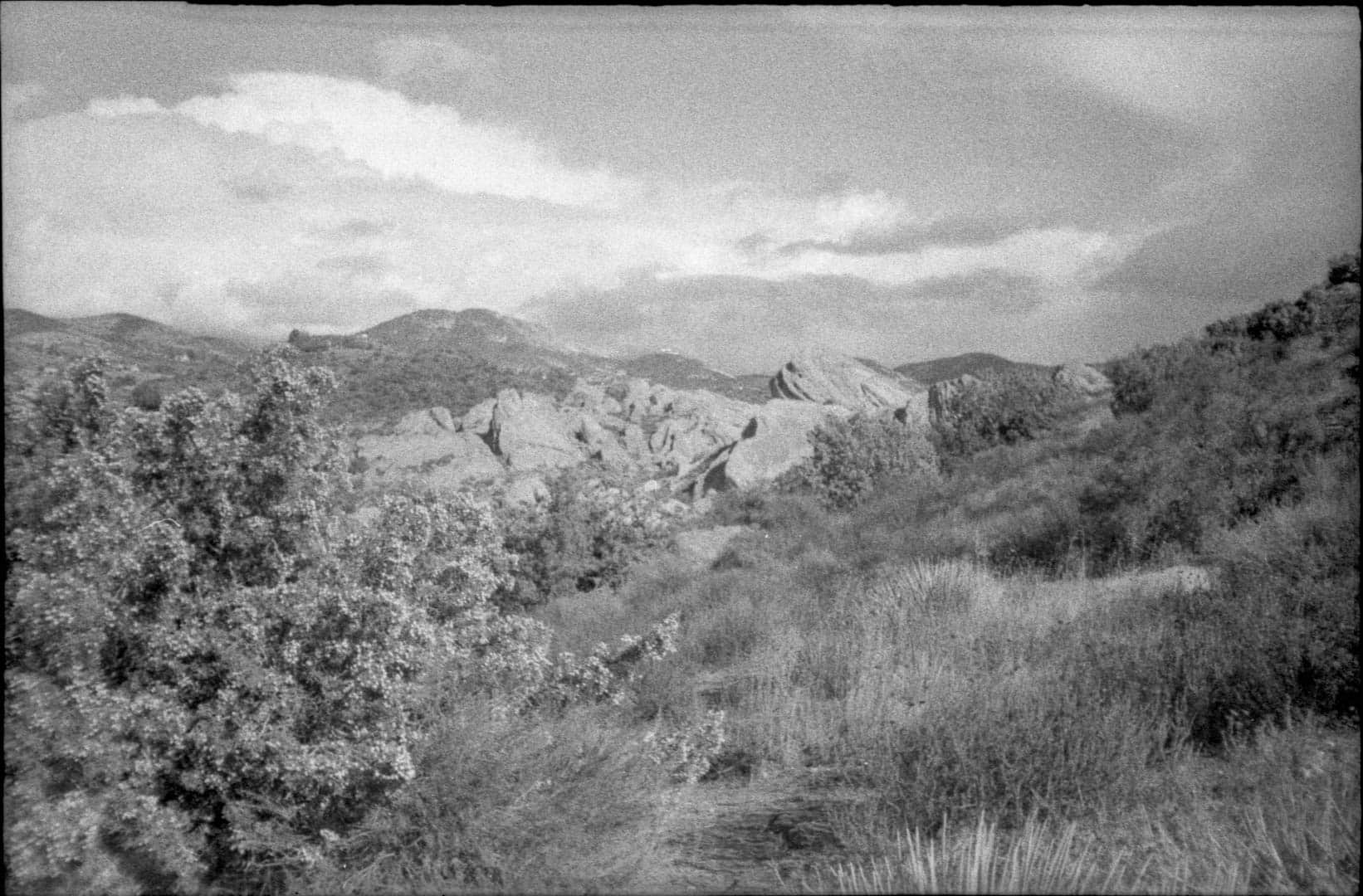 Small bushes with the rocks sticking out of the landscape in the distance