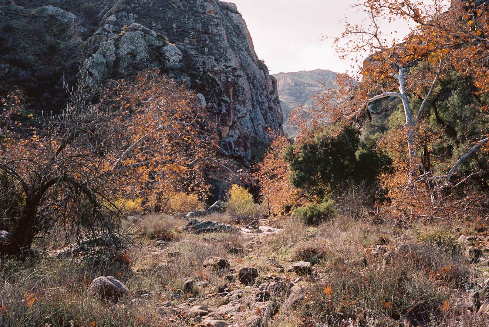 Lush river valley