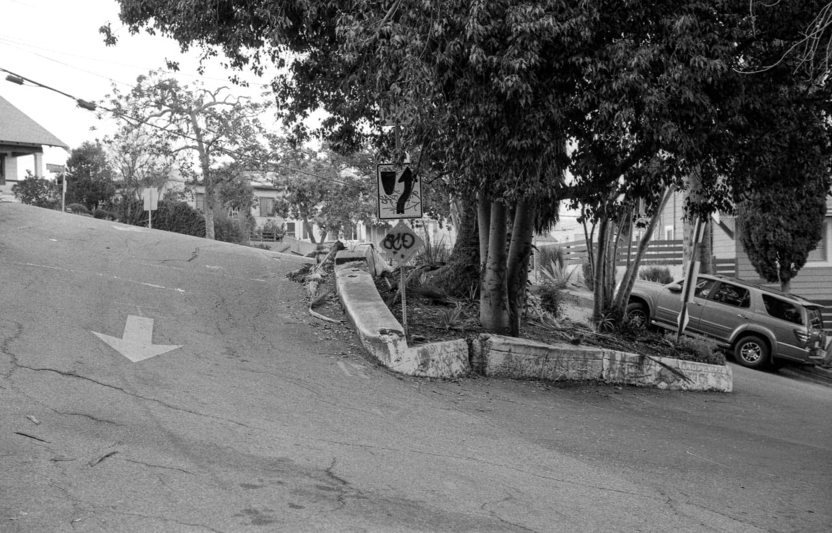 A tree-covered median amongst hilly LA streets