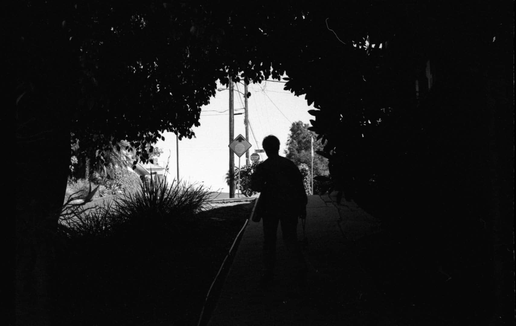 A silhouette of my wife under an arcade of vegitation.