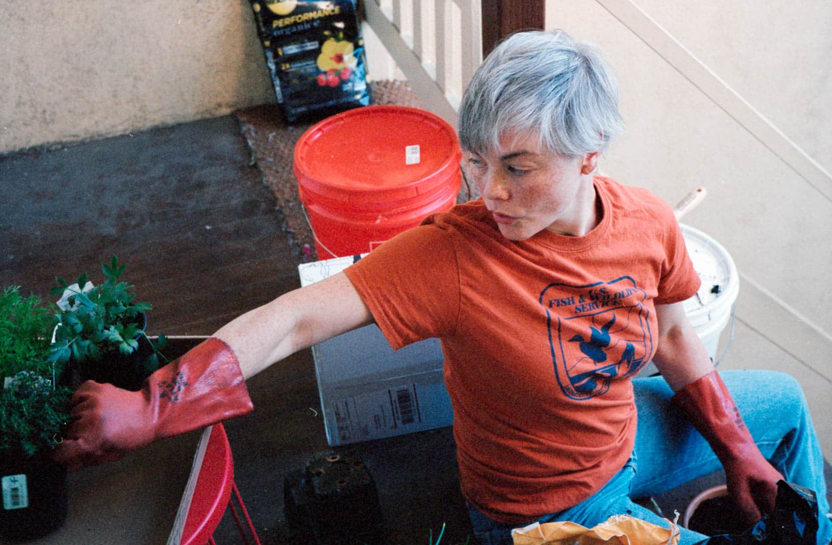 A woman wearing gardening gloves moving potted herbs