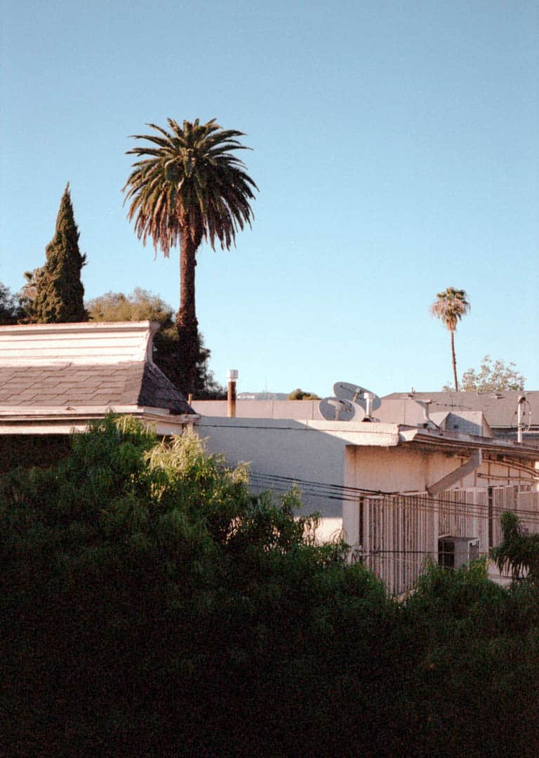 Palm trees over an apartiment complex and the Hollywood hills in the distance