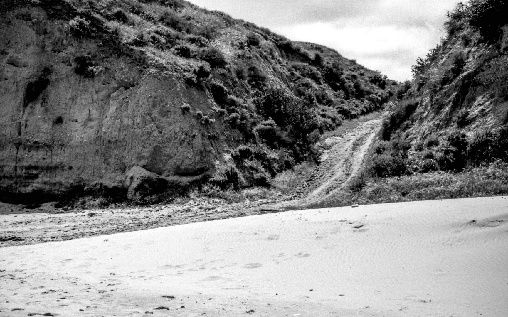 a path down from the bluffs onto the sandy beach