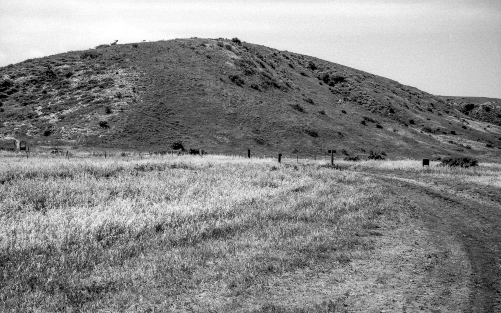 A field of grass and a curved path leading up to a hill in the distance