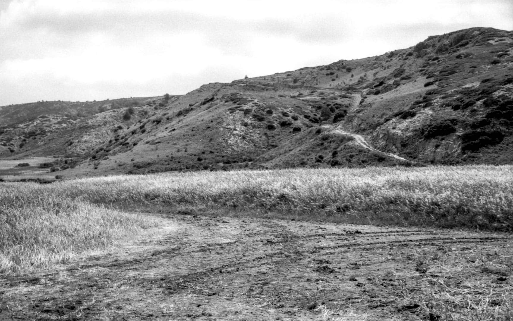 A muddy patch through a field with a mountian and path in the background