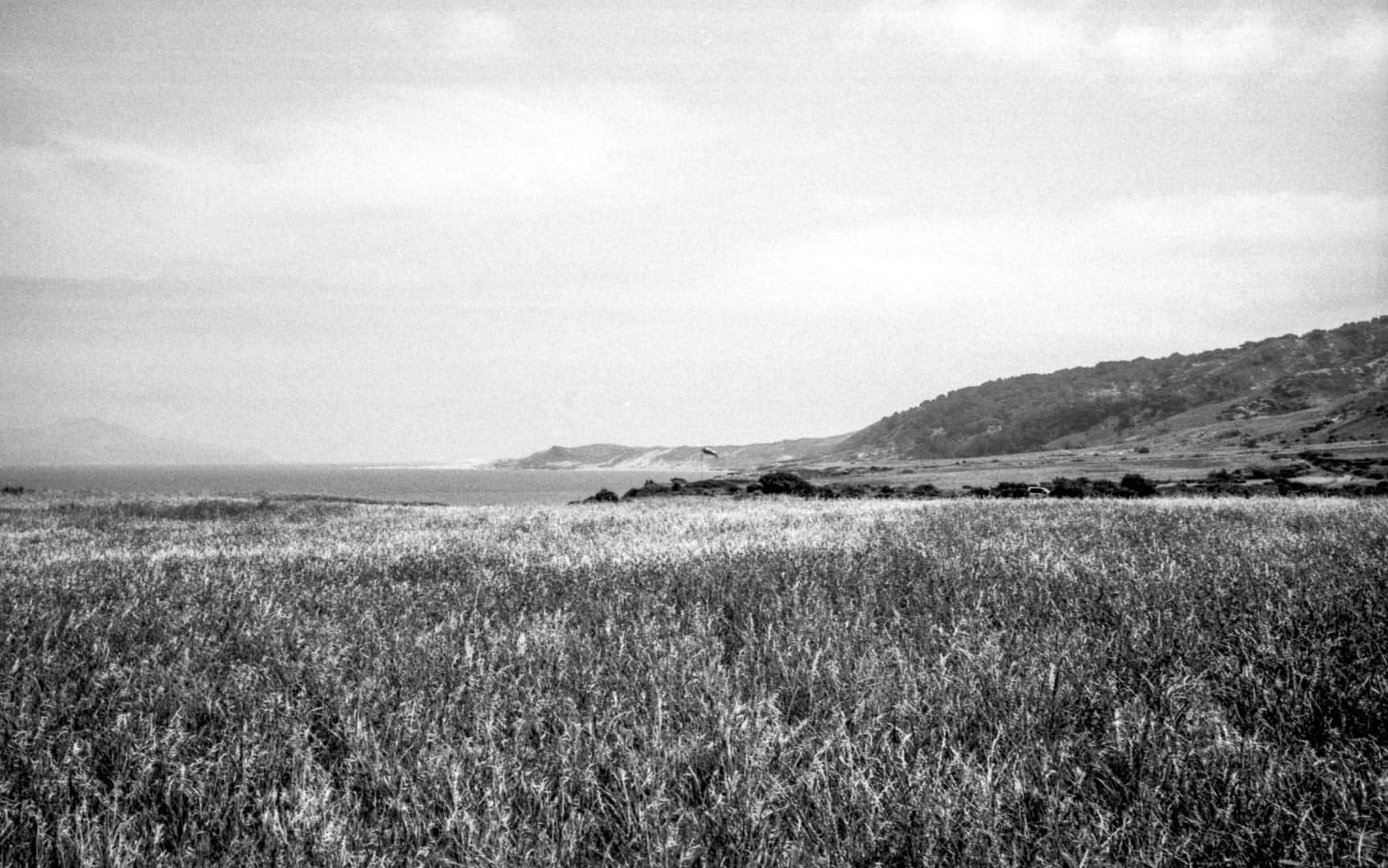 A field of tall grass in front of the ocean, and a windsock in the distant center of frame