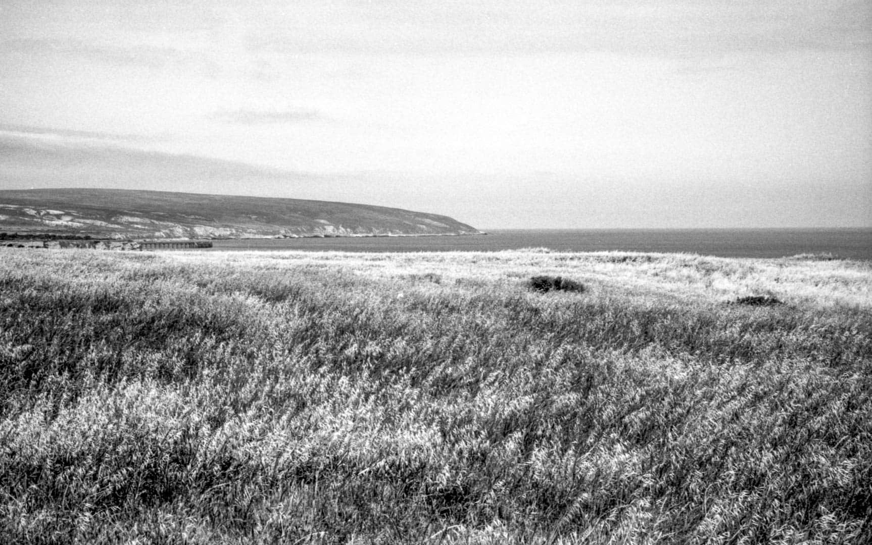 A feild in front of the ocean, with a pier in the distance