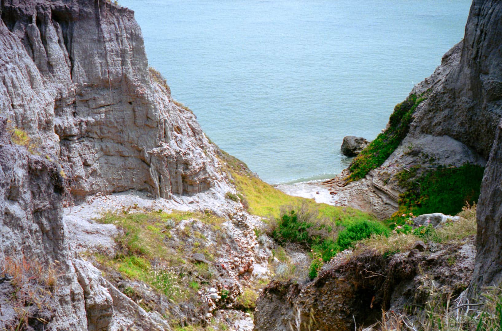 An eroded cliff filled with vegitation next to the ocean