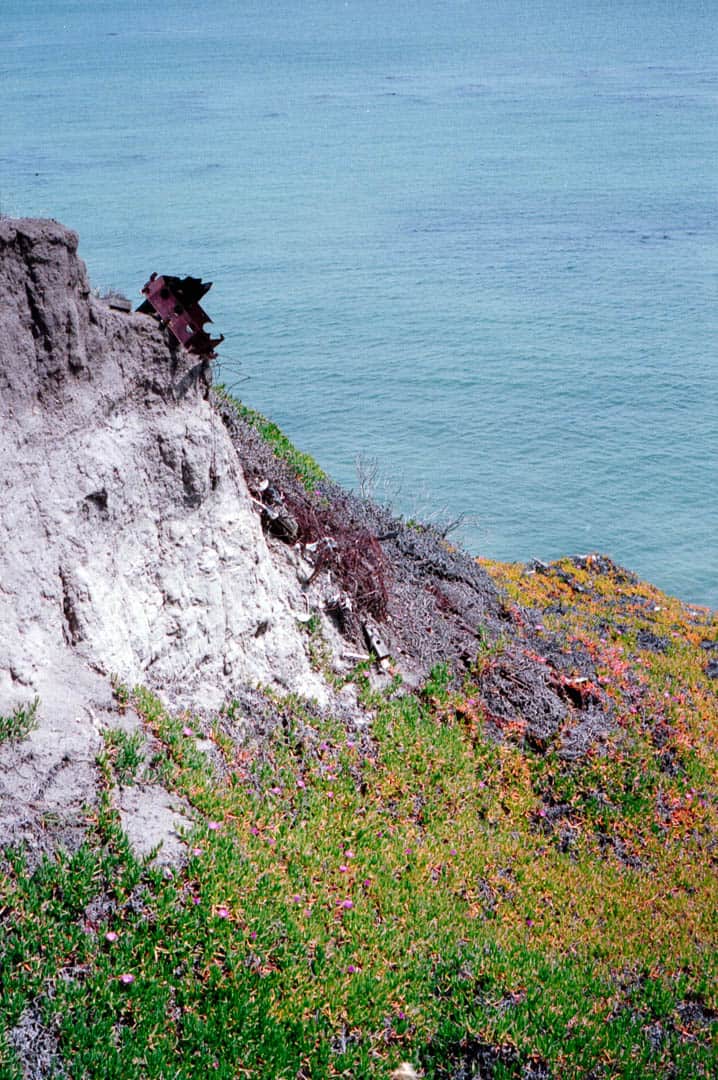 An eroded cliff filled with vegitation next to the ocean