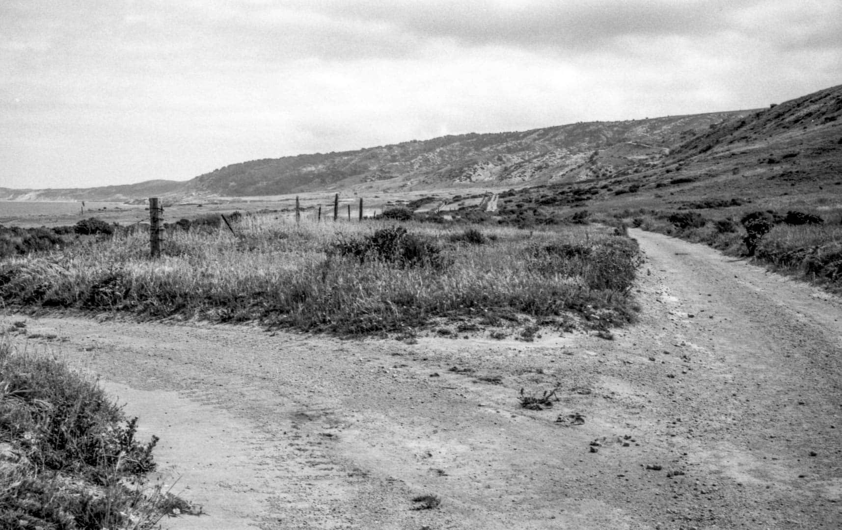 A grassy coastal field with a path that leads off into the distance