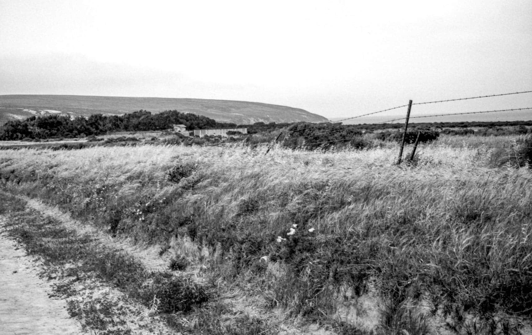 An old barbed wire fence alongside a path throguh grassy coastal fields