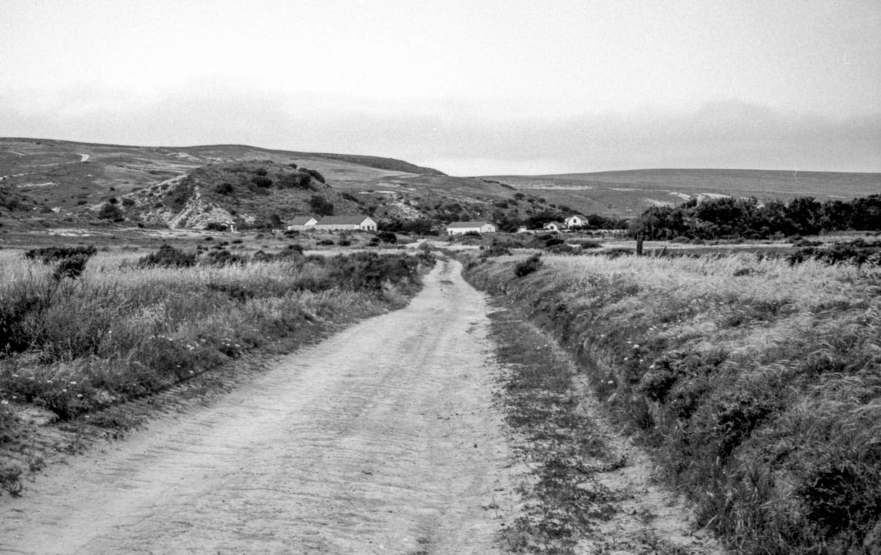 A remote path leading to some houses in the distance