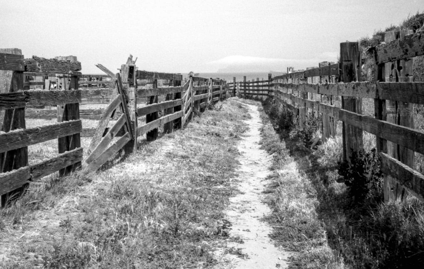 Delapodated wooden fences along a narrow dirt path