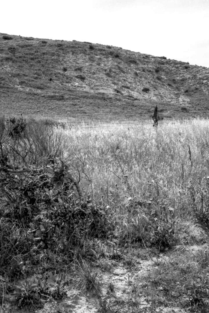 A grassy field leads up to a rocky hill